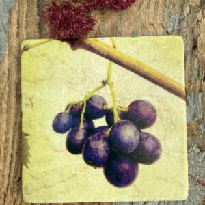 Untersetzer Traube